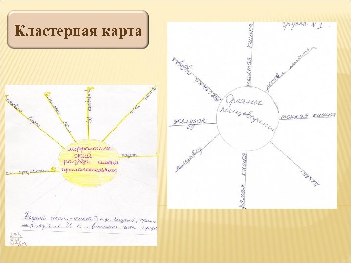 Кластерная карта 