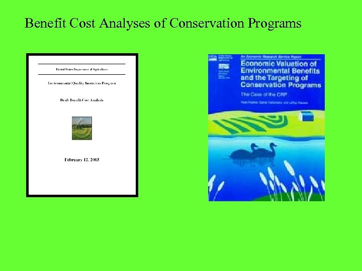 Benefit Cost Analyses of Conservation Programs 