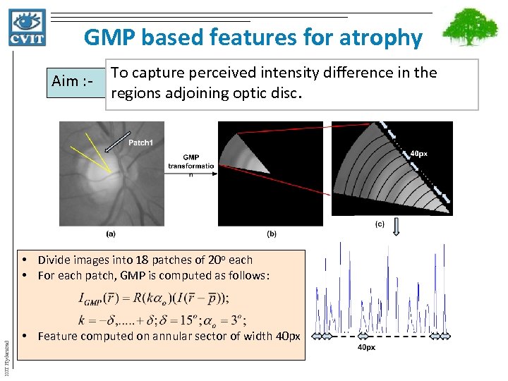 GMP based features for atrophy Aim : - To capture perceived intensity difference in