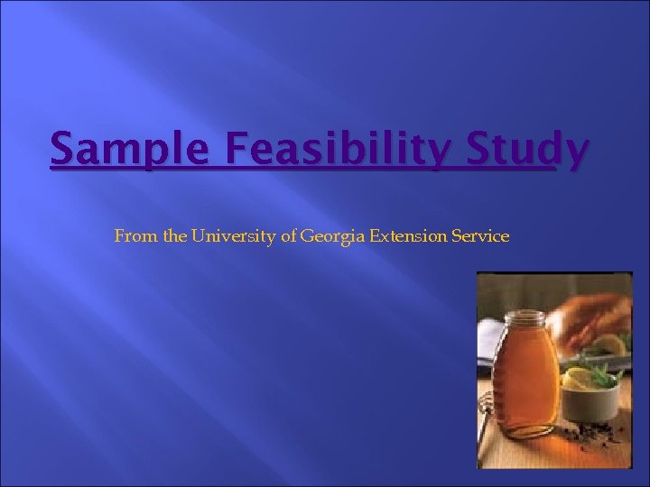 Sample Feasibility Study From the University of Georgia Extension Service 