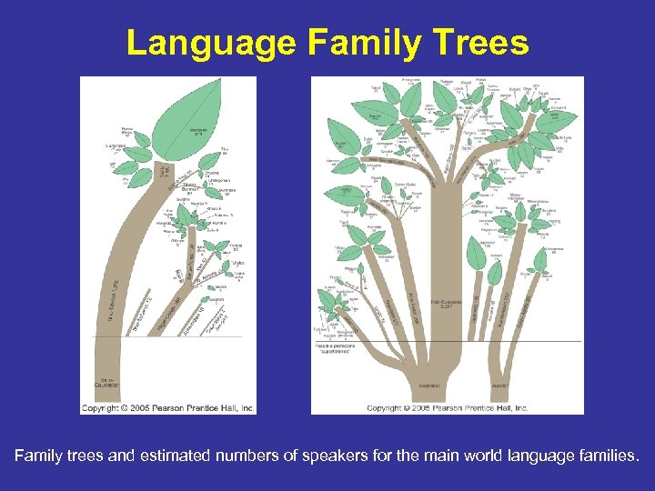Language Family Trees Family trees and estimated numbers of speakers for the main world