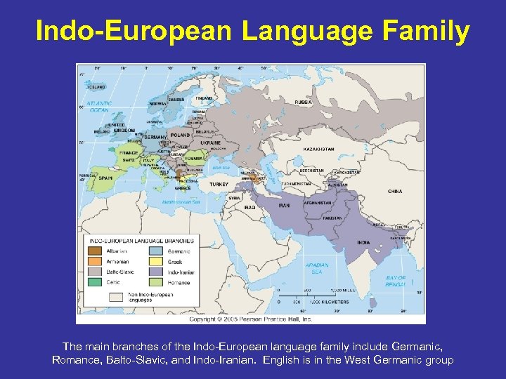 Indo-European Language Family The main branches of the Indo-European language family include Germanic, Romance,