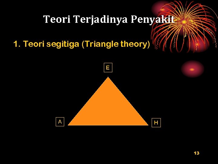 Teori Terjadinya Penyakit 1. Teori segitiga (Triangle theory) E A H 13 