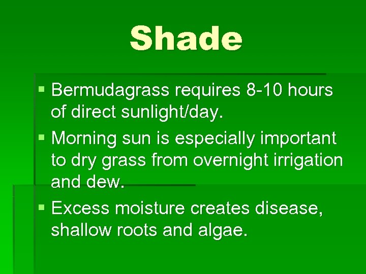 Shade § Bermudagrass requires 8 -10 hours of direct sunlight/day. § Morning sun is