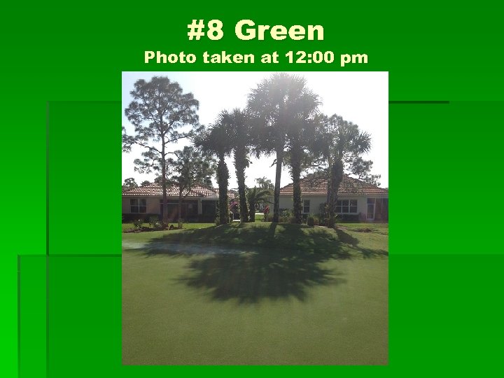 #8 Green Photo taken at 12: 00 pm 