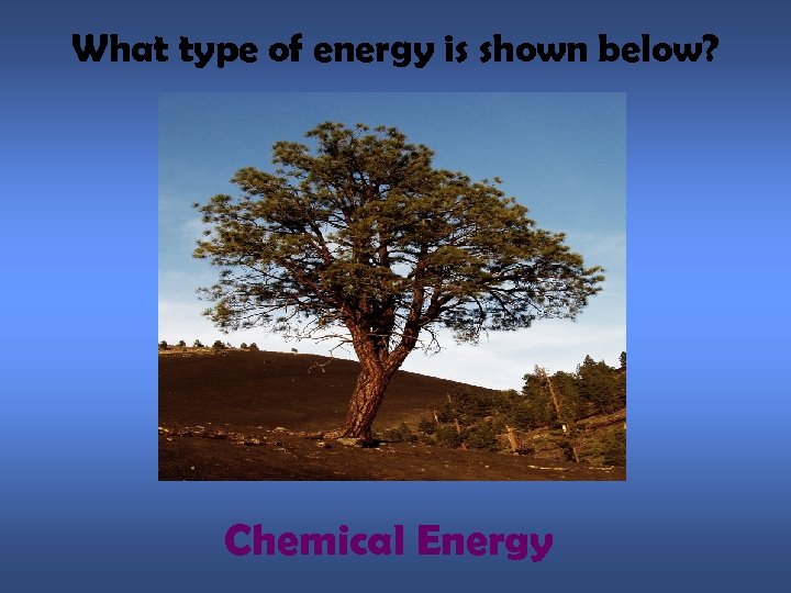 What type of energy is shown below? Chemical Energy 