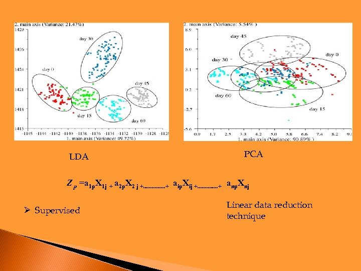 LDA PCA Z p =a 1 p. X 1 j + a 2 p.