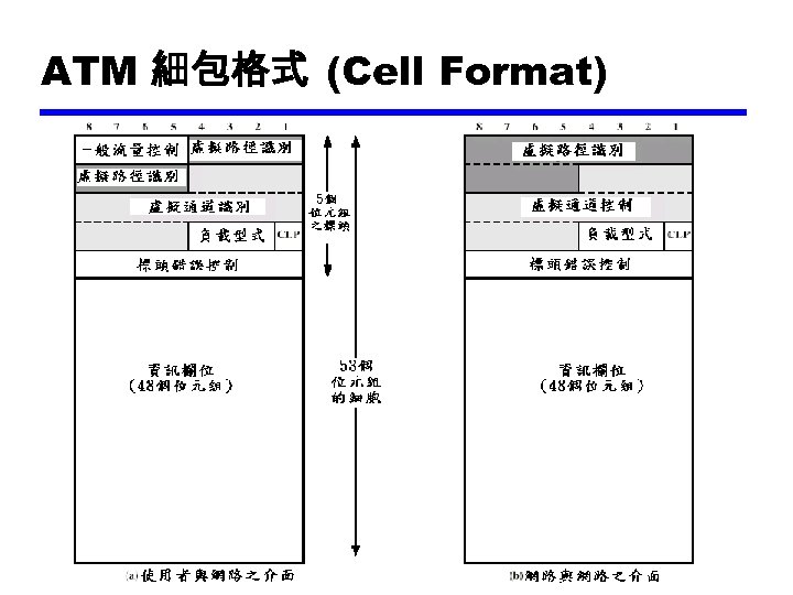 ATM 細包格式 (Cell Format) 