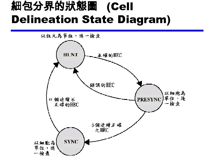 細包分界的狀態圖 (Cell Delineation State Diagram) 