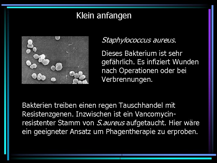 Klein anfangen Staphylococcus aureus. Dieses Bakterium ist sehr gefährlich. Es infiziert Wunden nach Operationen