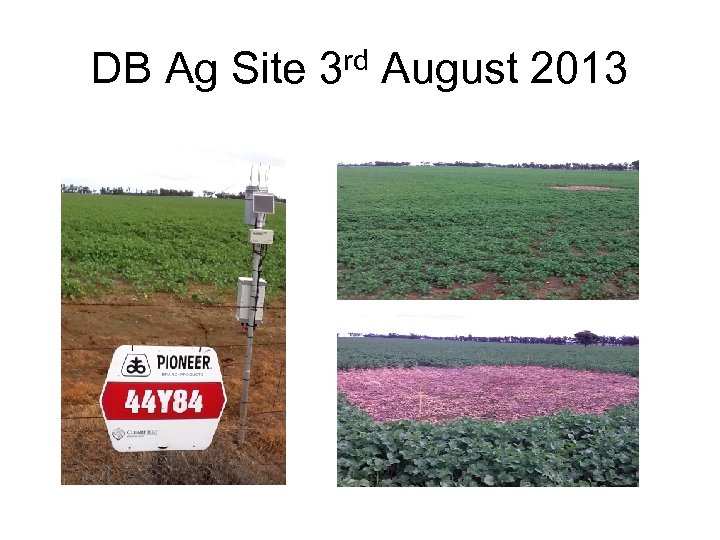 DB Ag Site 3 rd August 2013 