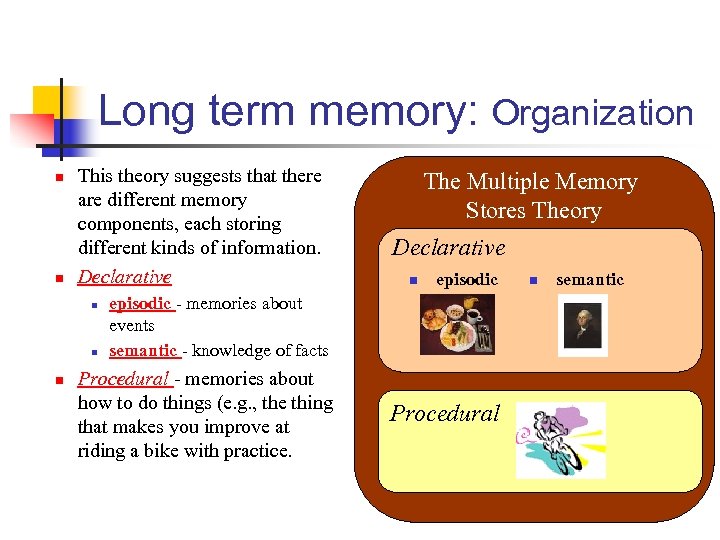 Long term memory: Organization n n This theory suggests that there are different memory