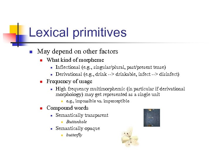 Lexical primitives n May depend on other factors n What kind of morpheme n