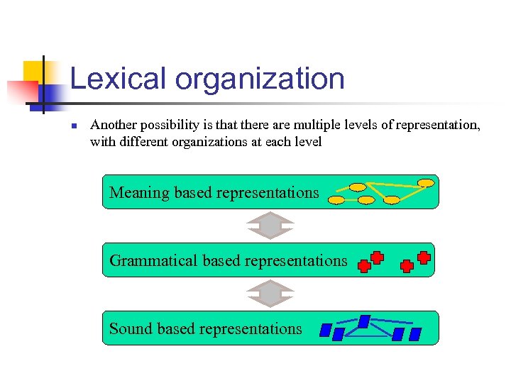 Lexical organization n Another possibility is that there are multiple levels of representation, with