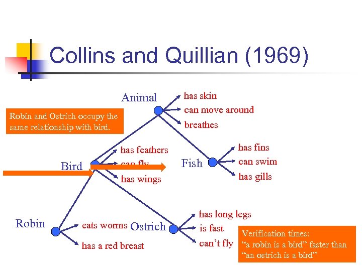 Collins and Quillian (1969) Animal Robin and Ostrich occupy the same relationship with bird.