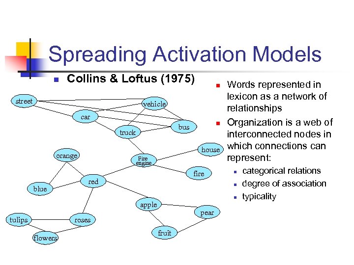 Spreading Activation Models n Collins & Loftus (1975) street n vehicle car truck house