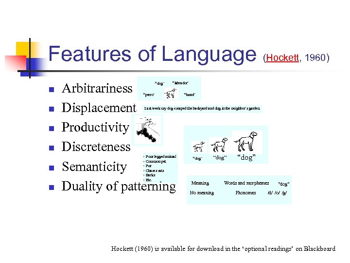 Features of Language (Hockett, 1960) n n n Arbitrariness Displacement Productivity Discreteness Semanticity Duality