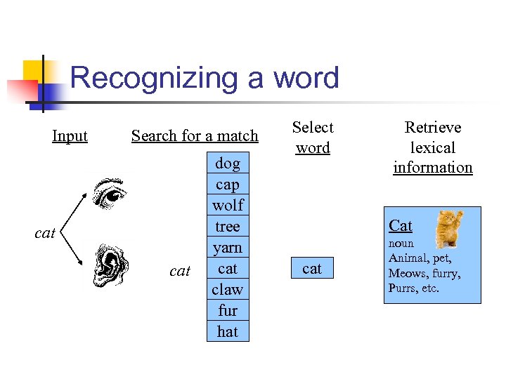 Recognizing a word Input Search for a match cat dog cap wolf tree yarn