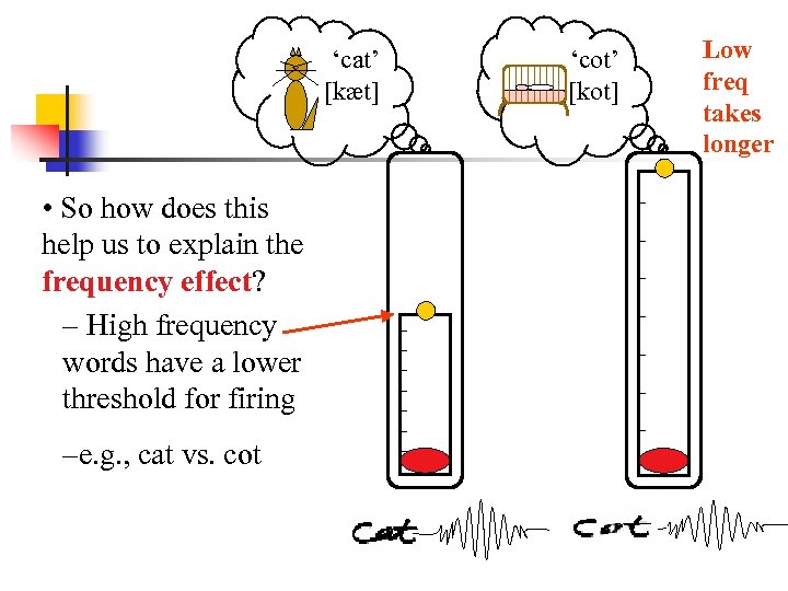 ‘cat’ [kæt] • So how does this help us to explain the frequency effect?