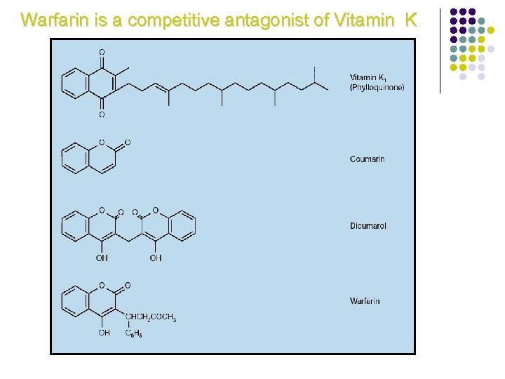 Warfarin is a competitive antagonist of Vitamin K Scully, M. The Biochemist, 2002 