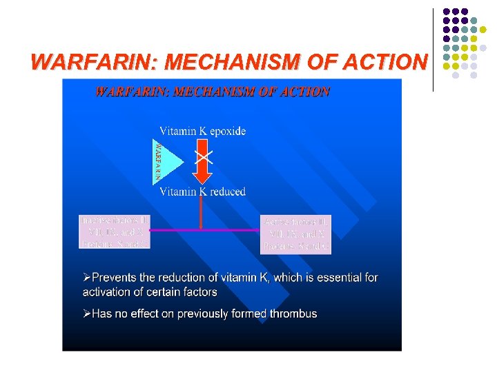 WARFARIN: MECHANISM OF ACTION 