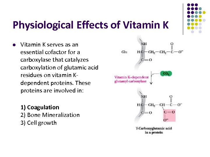 Physiological Effects of Vitamin K l Vitamin K serves as an essential cofactor for