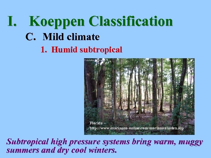 I. Koeppen Classification C. Mild climate 1. Humid subtropical Florida – http: //www. marianna-online.
