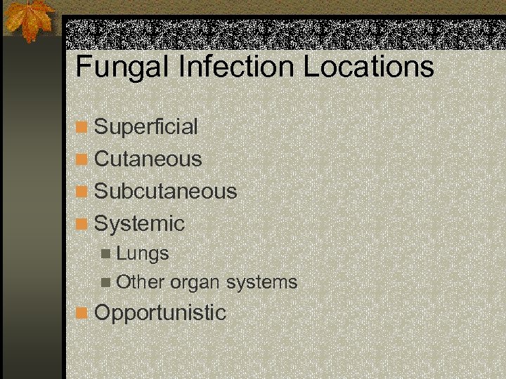 Fungal Infection Locations n Superficial n Cutaneous n Subcutaneous n Systemic n Lungs n