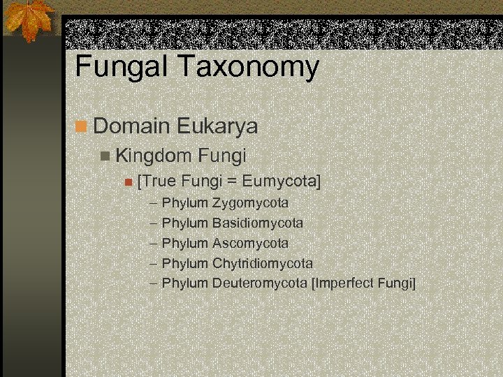 Fungal Taxonomy n Domain Eukarya n Kingdom Fungi n [True – – – Fungi
