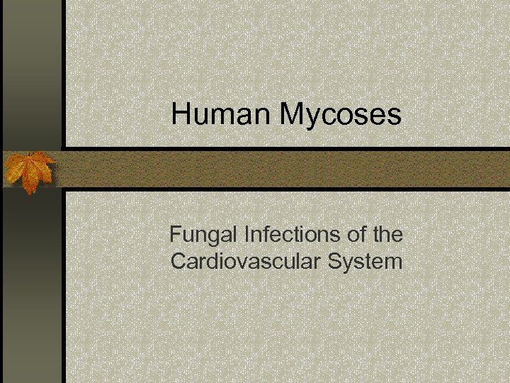 Human Mycoses Fungal Infections of the Cardiovascular System 