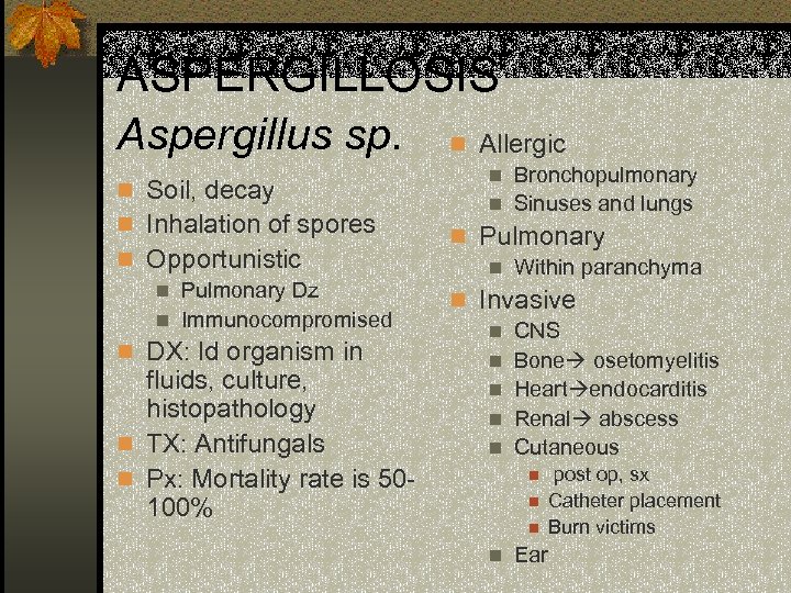 ASPERGILLOSIS Aspergillus sp. n Allergic n Soil, decay n Inhalation of spores n Opportunistic