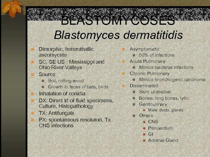 BLASTOMYCOSES Blastomyces dermatitidis n Dimorphic, heterothallic ascomycete n SC, SE US : Mississippi and