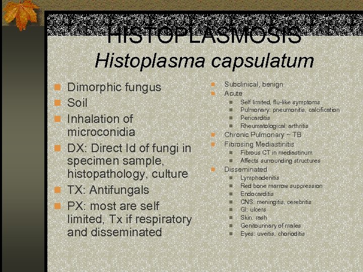 HISTOPLASMOSIS Histoplasma capsulatum n Dimorphic fungus n Soil n n n Inhalation of microconidia