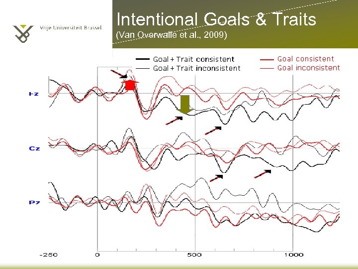Intentional Goals & Traits (Van Overwalle et al. , 2009) 