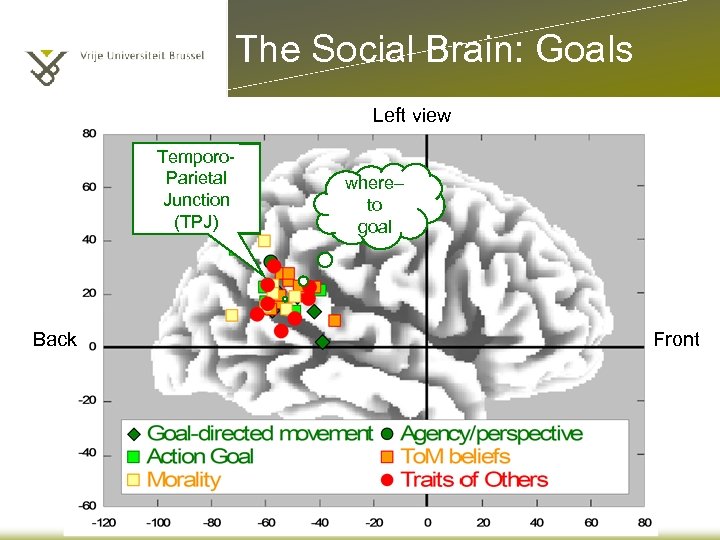 The Social Brain: Goals Left view Temporo. Parietal Junction (TPJ) Back where– to goal