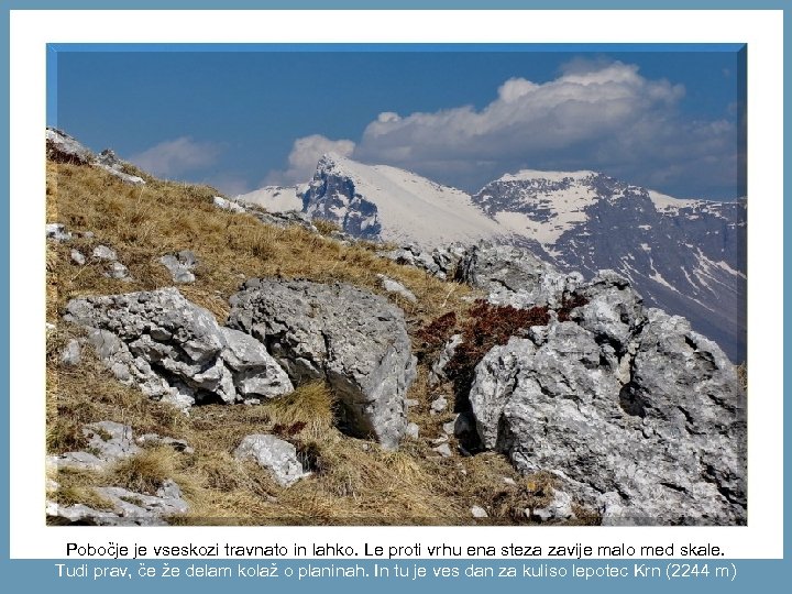 Pobočje je vseskozi travnato in lahko. Le proti vrhu ena steza zavije malo med