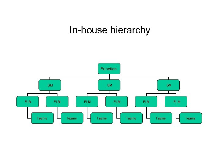 In-house hierarchy Function SM FLM Teams FLM Teams 