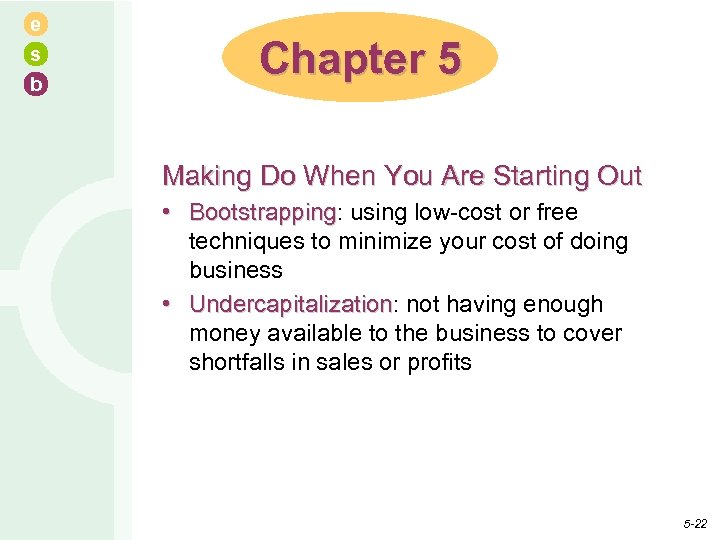 e s b Chapter 5 Making Do When You Are Starting Out • Bootstrapping: