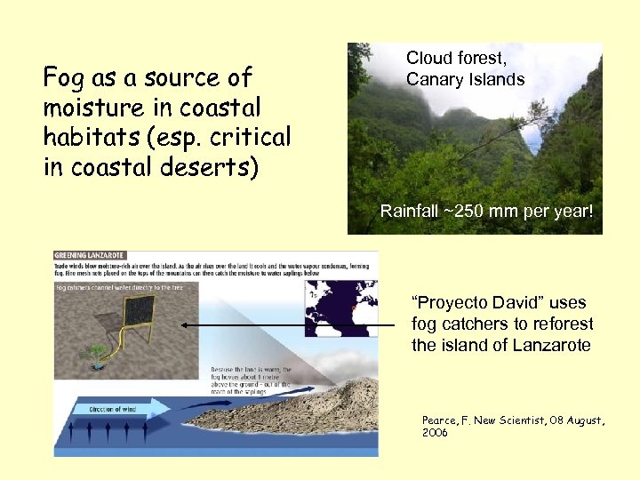 Fog as a source of moisture in coastal habitats (esp. critical in coastal deserts)