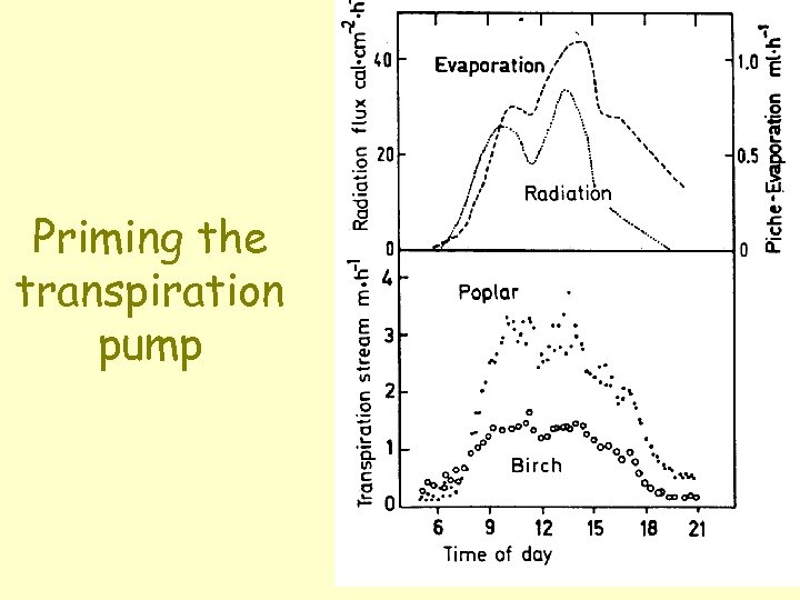 Priming the transpiration pump 