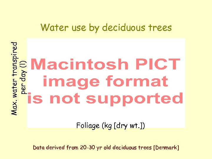 Max. water transpired per day (l) Water use by deciduous trees Foliage (kg [dry