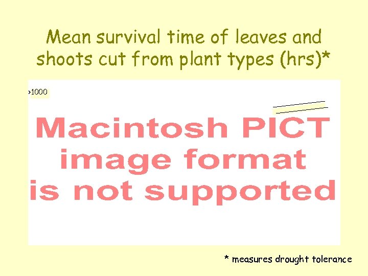 Mean survival time of leaves and shoots cut from plant types (hrs)* >1000 *