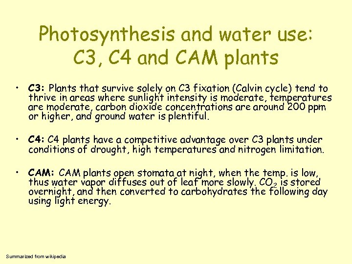 Photosynthesis and water use: C 3, C 4 and CAM plants • C 3: