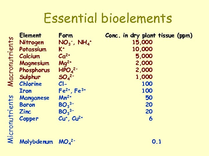 Micronutrients Macronutrients Essential bioelements Element Nitrogen Potassium Calcium Magnesium Phosphorus Sulphur Chlorine Iron Manganese