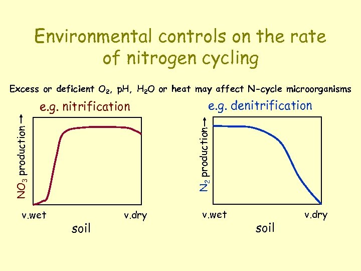 Environmental controls on the rate of nitrogen cycling Excess or deficient O 2, p.