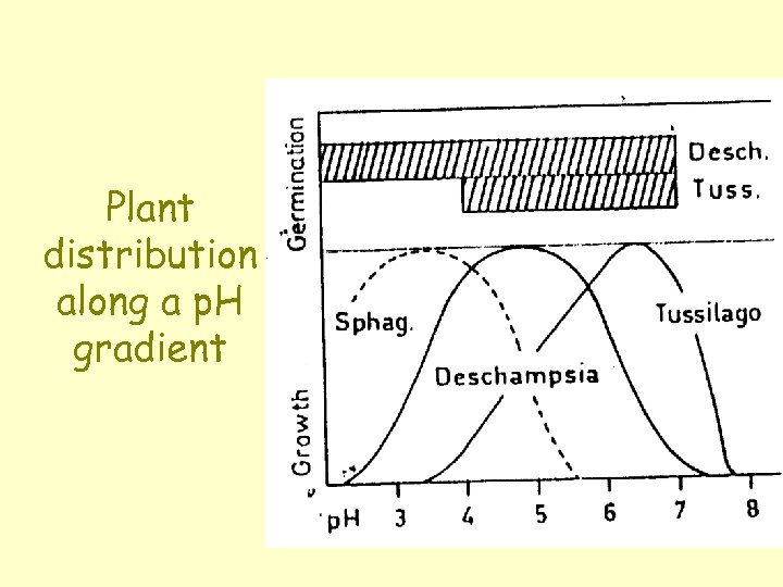 Plant distribution along a p. H gradient 