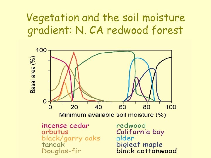 Vegetation and the soil moisture gradient: N. CA redwood forest 