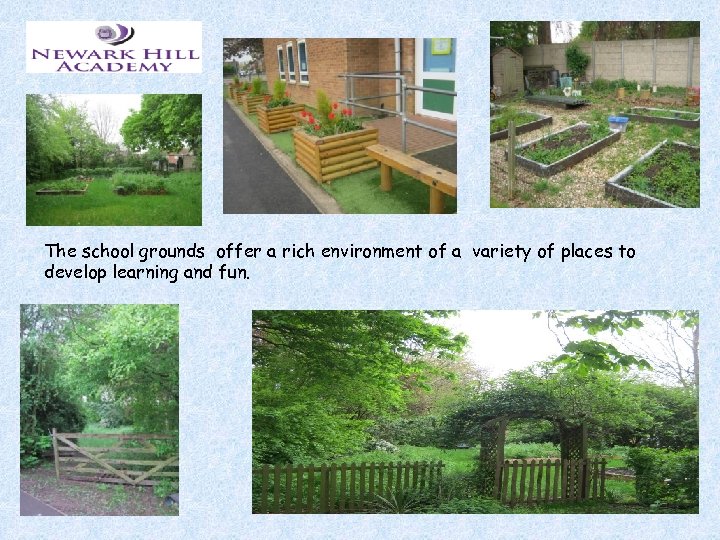 The school grounds offer a rich environment of a variety of places to develop