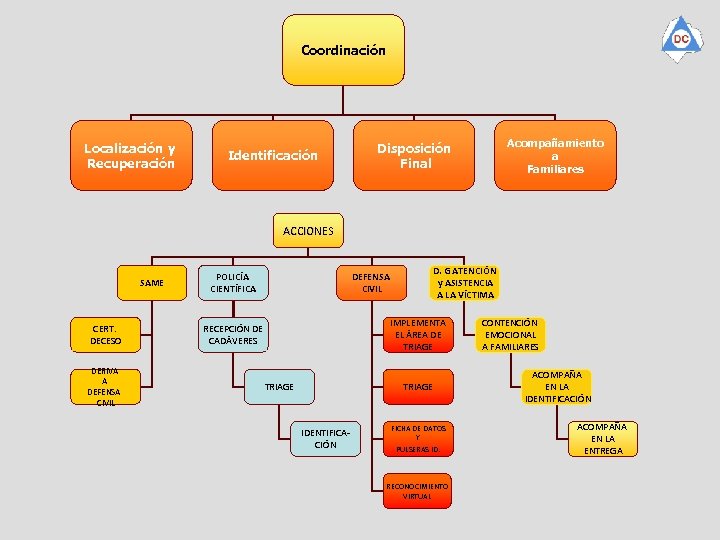 Coordinación Localización y Recuperación Identificación Acompañamiento a Familiares Disposición Final ACCIONES SAME CERT. DECESO