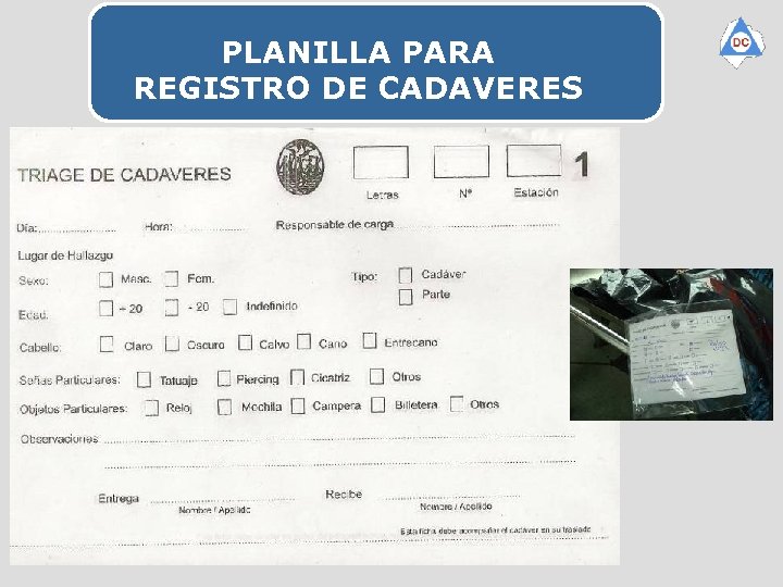 PLANILLA PARA REGISTRO DE CADAVERES 